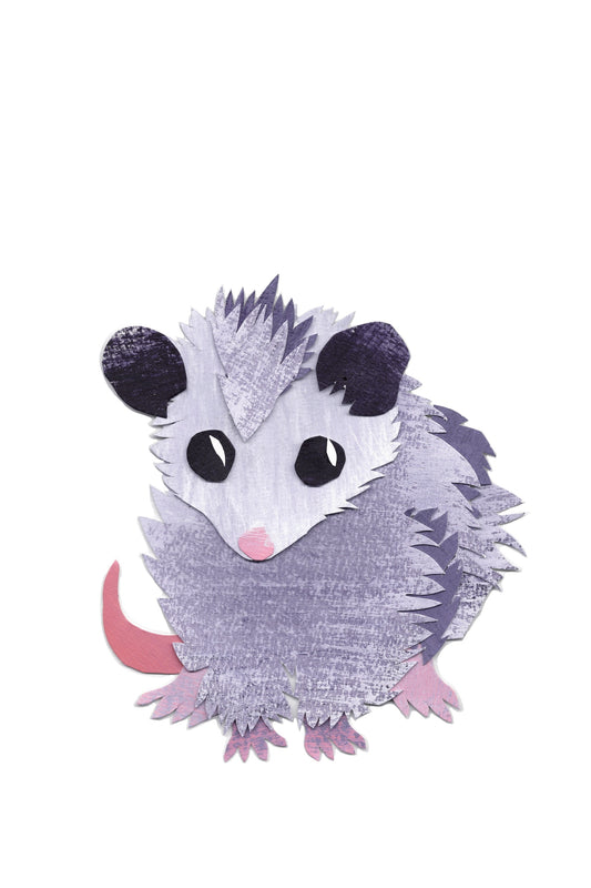 Baby Possum Giclee Fine Art Print, Framed or Unframed in Premium Solid Wood