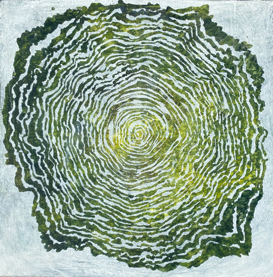 Tree Rings