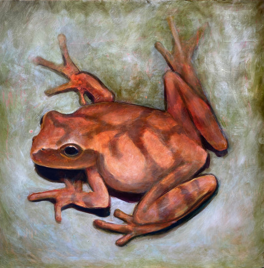 Northern Spring Peeper, 18"x18",  Original Oil Painting on Cradled Wood Panel, Framed