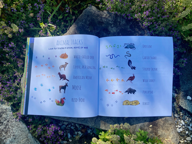 Open book with animal tracks illustration on a natural background