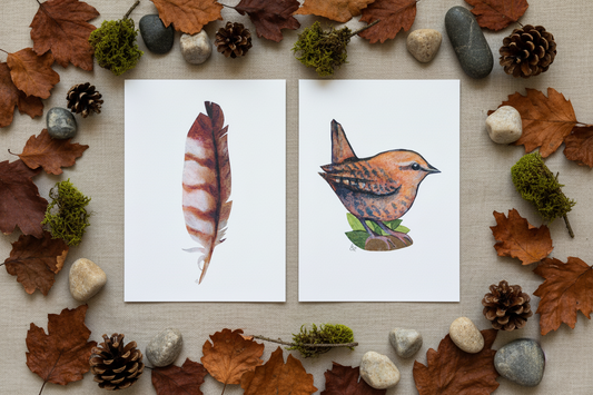 feather and wren art prints displayed flat eith nature themed decor