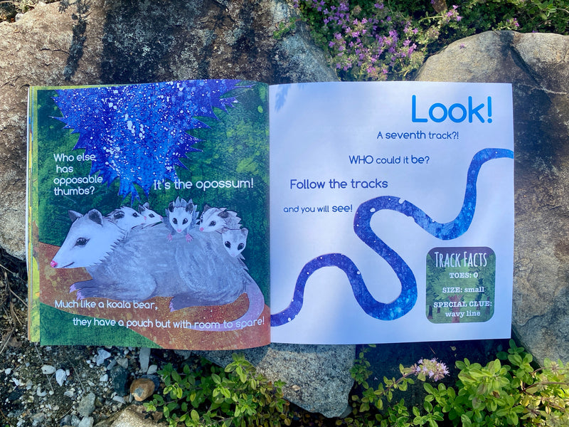 Open book with illustrations and text on a natural background