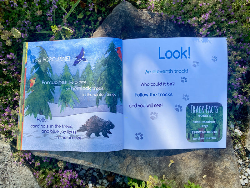 Open book with nature-themed illustrations and text on a stone surface with plants.