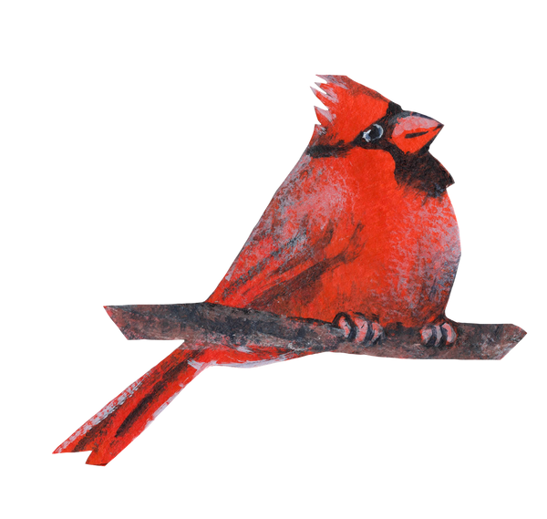 Happy Cardinal