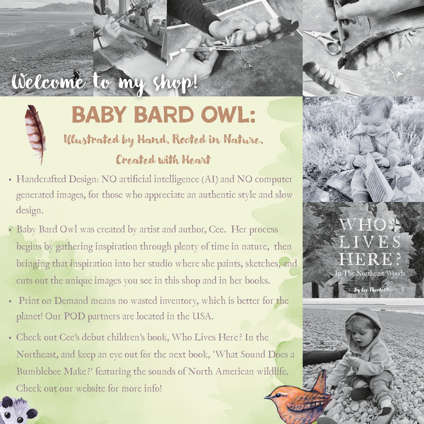 Hand Illustrated Wren Infant Bodysuit – Customize Text or keep 'Baby Birder'