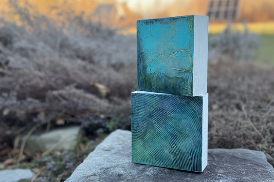 Diptych- Lichen & Time