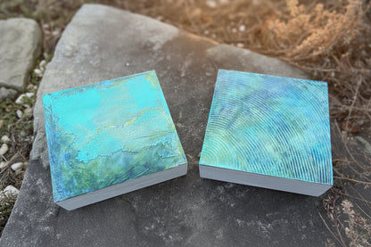Diptych- Lichen & Time