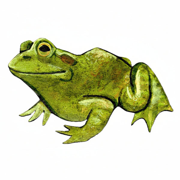Bullfrog