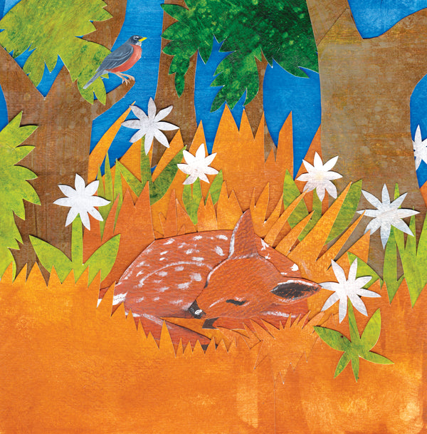 White Tailed Fawn