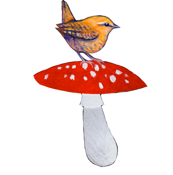 Wren and Fly Agaric