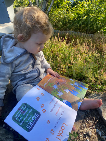 SOFTCOVER: Who Lives Here? In the Northeast Woods, illustrated children's book on animal tracks in New England, Eastern Canada & New York- Signed and Personalized
