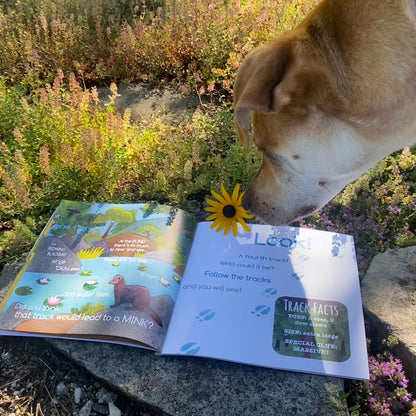 SOFTCOVER: Who Lives Here? In the Northeast Woods, illustrated children's book on animal tracks in New England, Eastern Canada & New York- Signed and Personalized