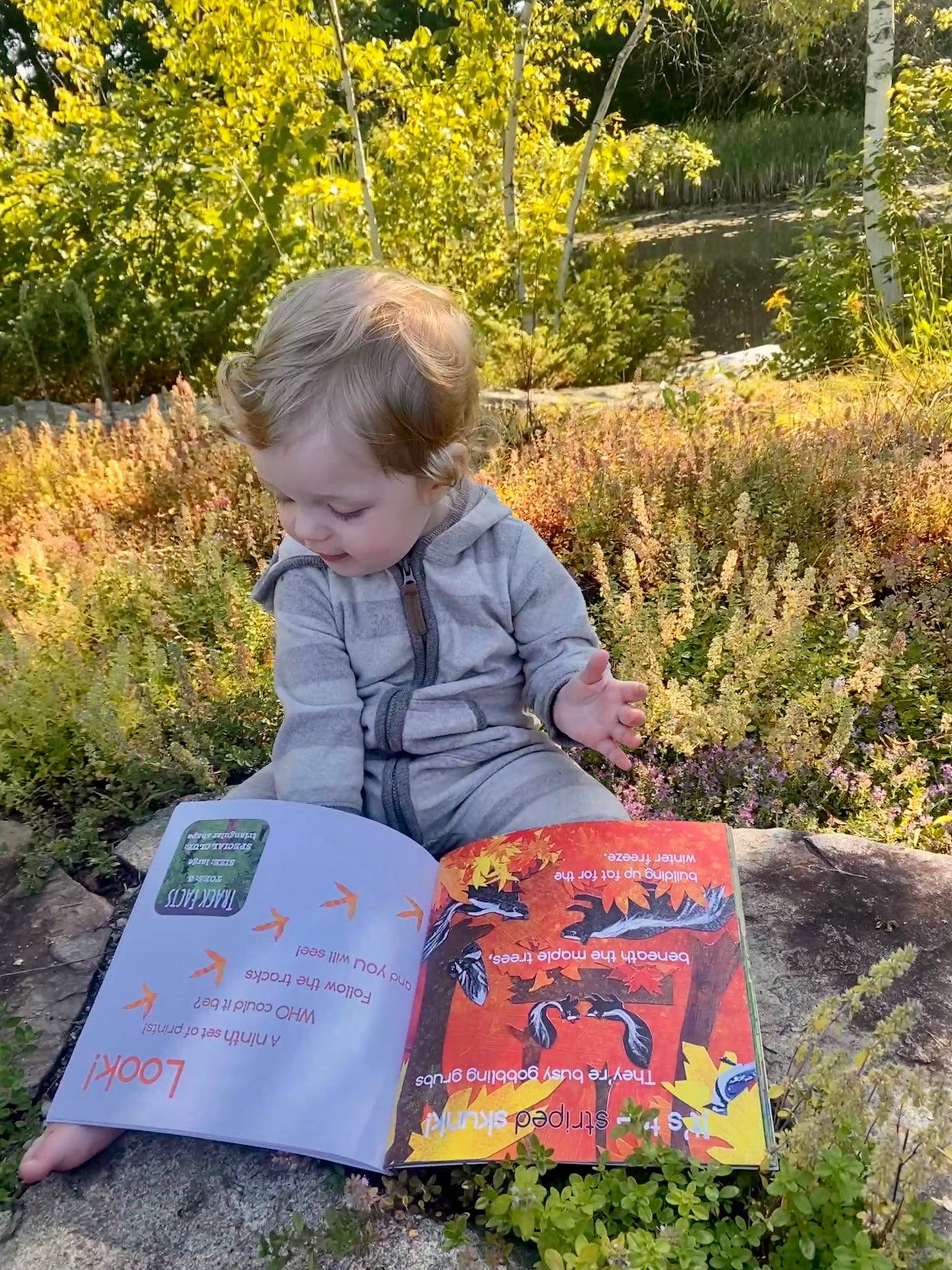 Who Lives Here? In the Northeast Woods, illustrated children's book on animal tracks in New England, Eastern Canada & New York- Signed and Personalized