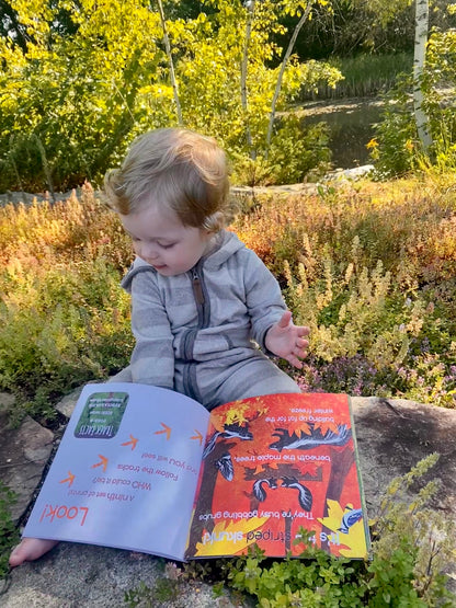 SOFTCOVER: Who Lives Here? In the Northeast Woods, illustrated children's book on animal tracks in New England, Eastern Canada & New York- Signed and Personalized