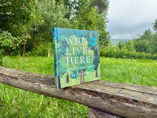 SOFTCOVER: Who Lives Here? In the Northeast Woods