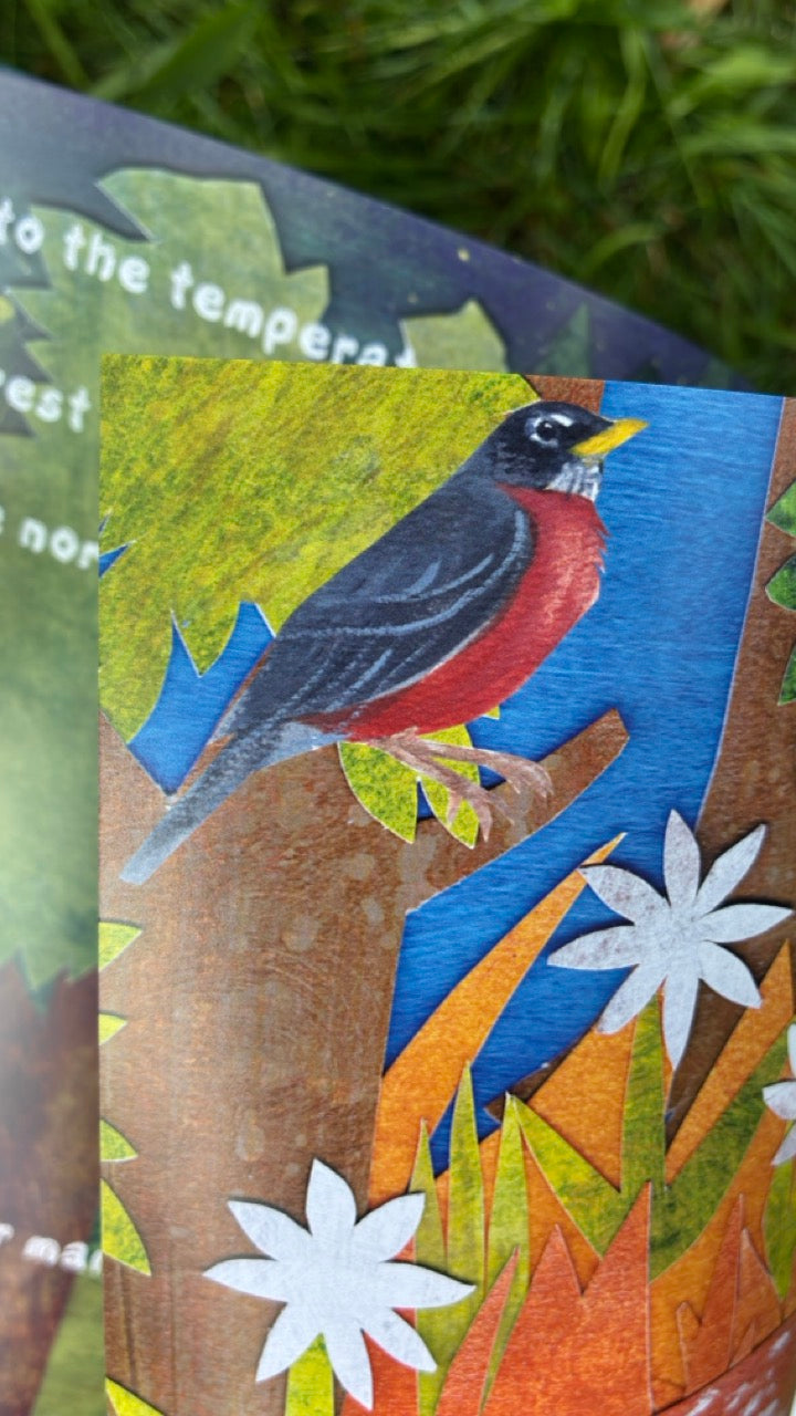 SOFTCOVER: Who Lives Here? In the Northeast Woods