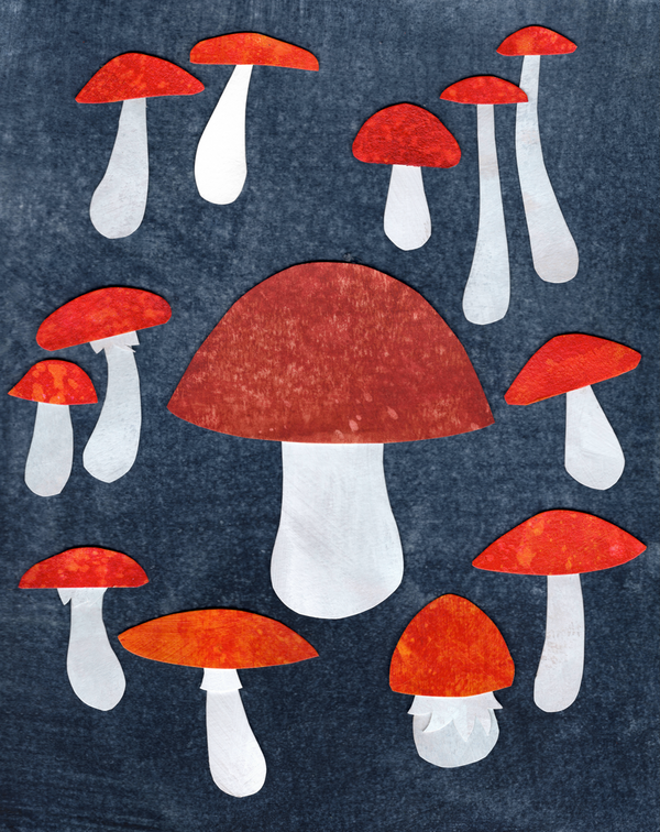 Fairy Ring