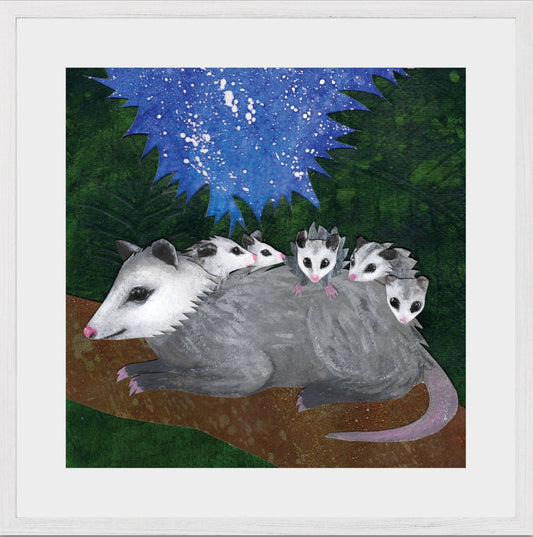 opossum