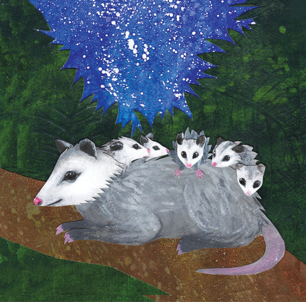 Opossum and Babies Under the Stars