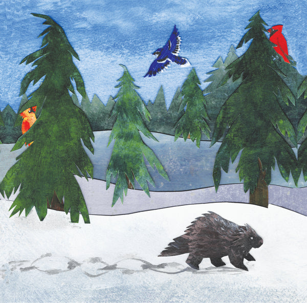 Winter Porcupine