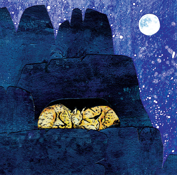 Bobcats and the Moon