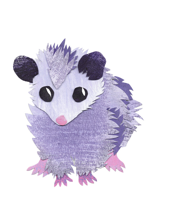 Opossum Joey