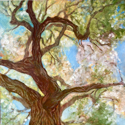 Balm of Gilead, 30"x30" Original Oil Painting
