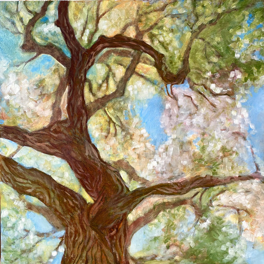 Balm of Gilead, 30"x30" Original Oil Painting