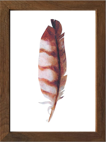 Barred Owl Feather Giclee Art Print/ Framed or Unframed in 3 Sizes