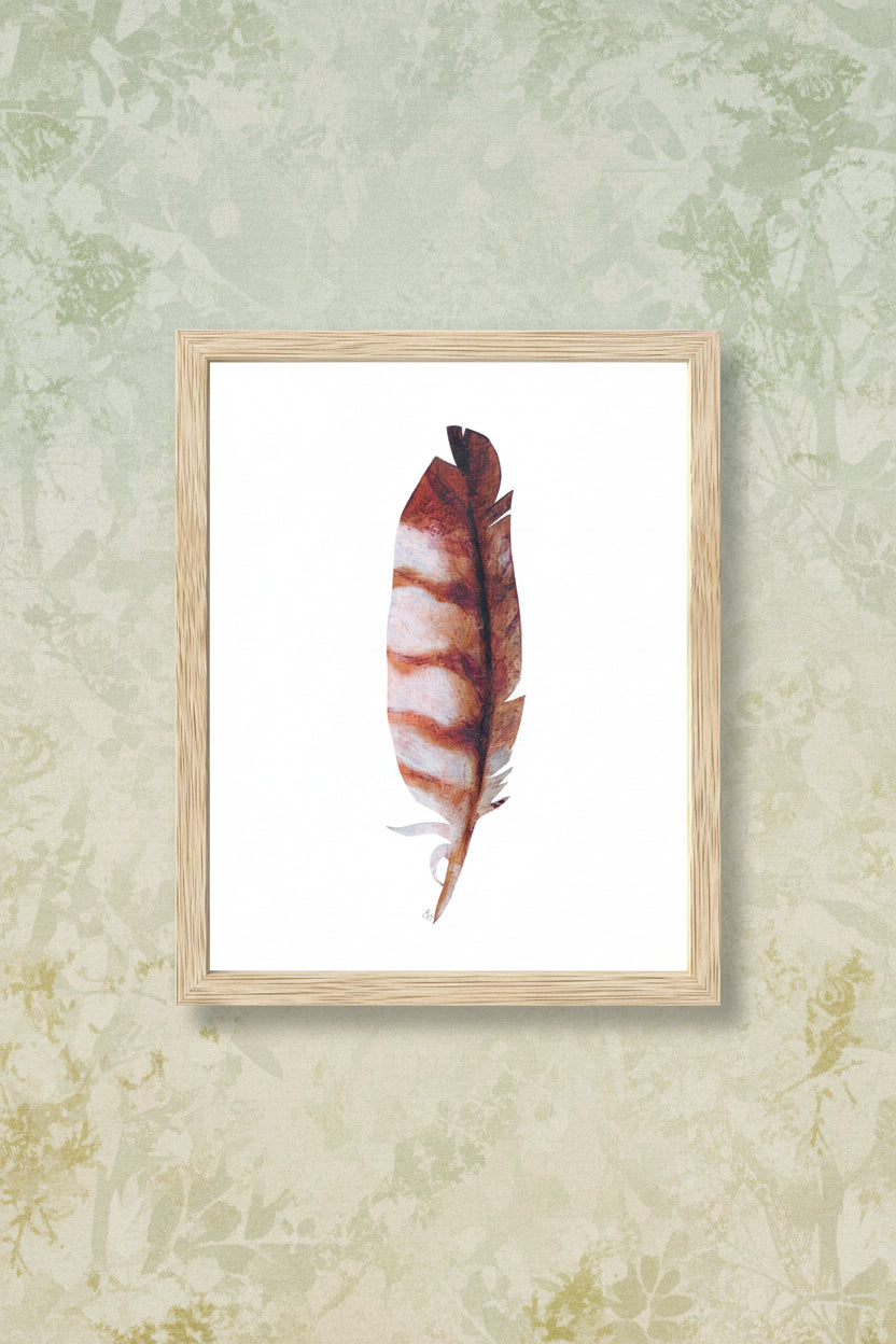 Feather with brown and white pattern inside a wooden frame