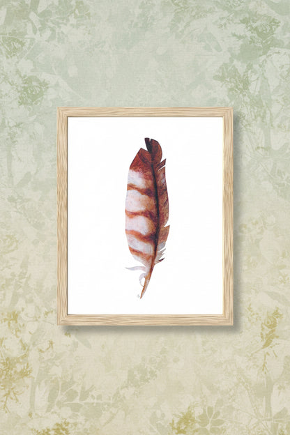 Feather with brown and white pattern inside a wooden frame