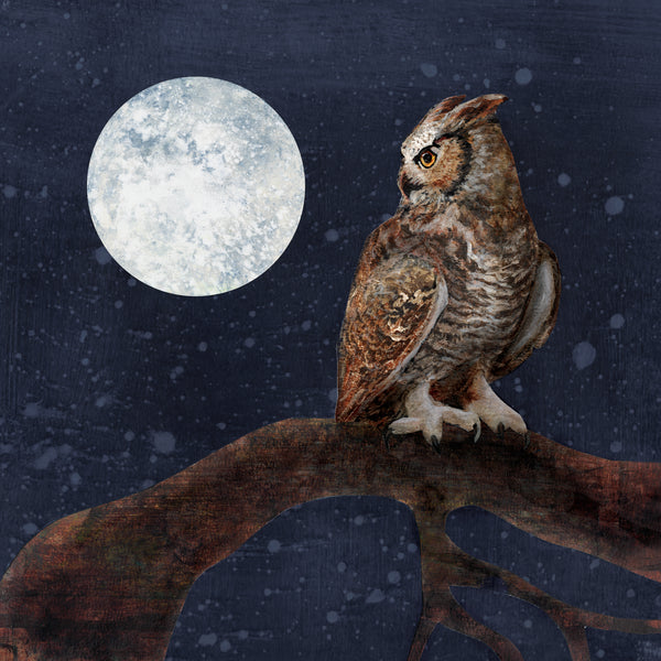 Great Horned Owl and the Moon