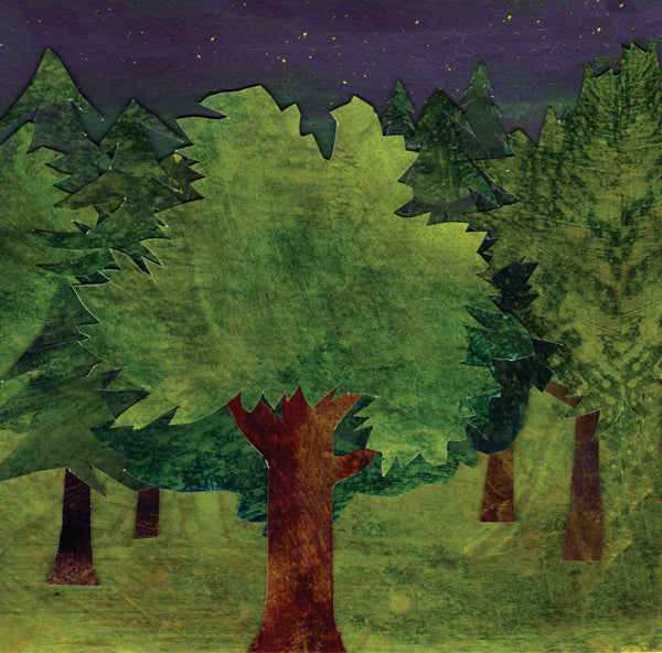 Night Forest