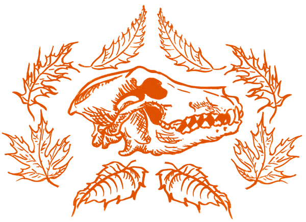 Wolf Skull and Autumn Leaves