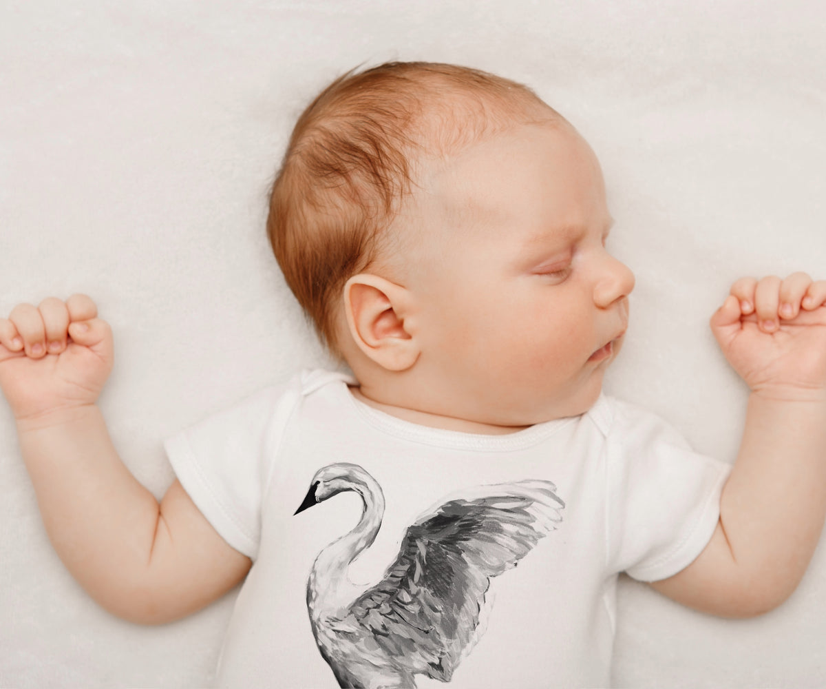 Trumpeter Swan Illustration Infant Bodysuit